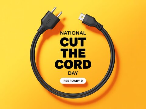 National cut the cord day celebrated on february 5 with a usb cable and plug