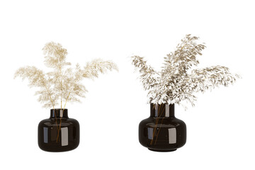 Dried flower or pampas grass in glass vase isolated on white