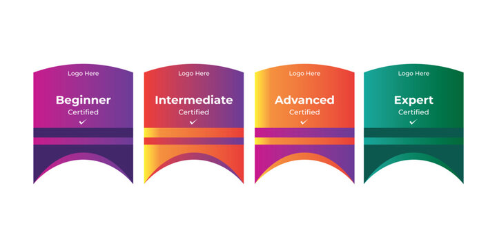 Professional Certification Badges Set Beginner to Expert Skill Levels