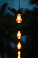 Warm Glowing Vintage Light Bulb Hanging at Dusk