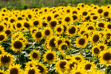 Sile River Natural Park