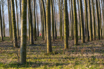 Sile River Natural Park