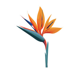 2D minimalist flat vector of a Bird Of Paradise, contemporary clean design isolated on white.