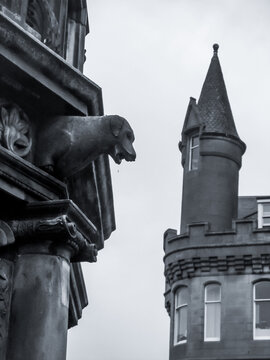Victorian Architecture of Aberdeen Scotland in Black and white, A statue of a dog as decoration of the mercat cross with the Salvation Army citadel in the background.