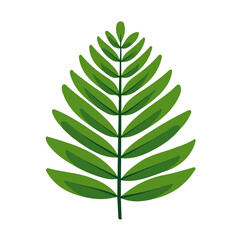 Palmyra Leaf, clean 2D vector flat illustration in minimal and modern style on a white background.