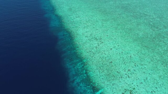 A vertical aerial view captures reef shelf with vibrant color transitions as depth increases in the Banda Sea.