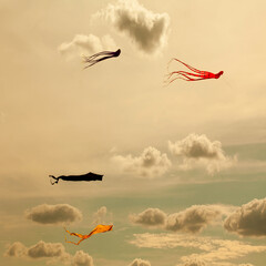 The cloudy sky with flying kites. evening summer cloudscape background. © besjunior