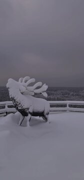 Winter in Ventspils, Lettland: wei&szlig;er Schnee, Frost, eine Hirschskulptur auf einem H&uuml;gel, Natur und verschneite Baumkronen.
