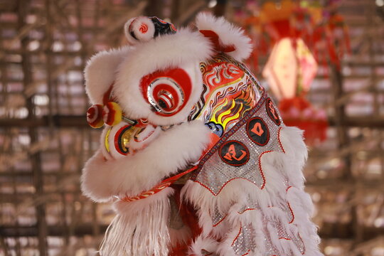 chinese cantonese lion dancing in Hong Kong, Yuen long 