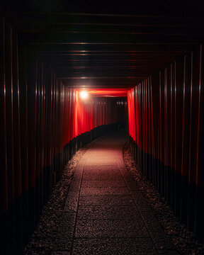 View of vermillion torii gates create a mesmerizing tunnel of light and shadow, beckoning you deeper into Fushimi Inari Shrine, Kyoto, Kyoto, Japan.
