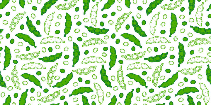 green soybeans or peas pattern background. Soybean seamless pattern background. edamame seamless pattern background. doodle edamame pattern background. 
