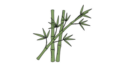 Simple Green Bamboo Illustration