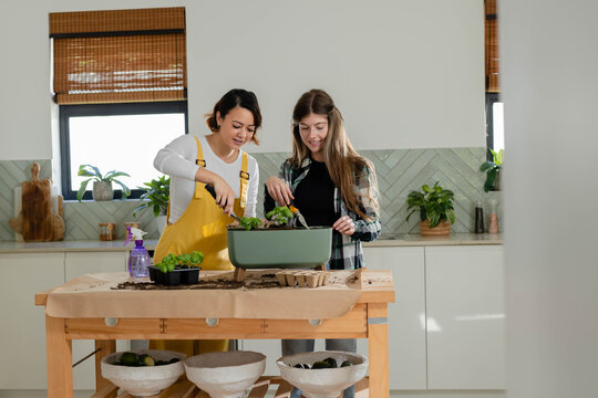 Two female friends in yellow overalls and plaid top planting seedlings at home using trowels