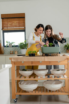 Female friends in yellow overalls and checked shirt potting seedlings into green planter in kitchen