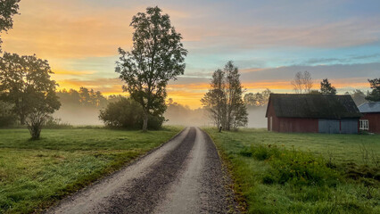 Gravel road through Swedish countryside on an early autumn morning