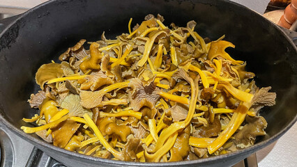 Parboiling funnel chanterelles in a frying pan