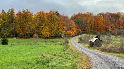 Gravel road through Swedish countryside in autumn colors