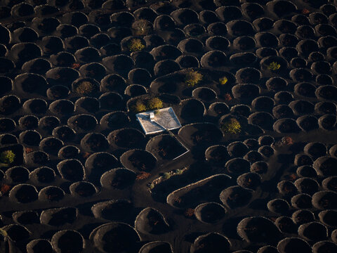 Aerial view of the stark, dark volcanic earth dotted with circular depressions contrasts sharply with the bright, geometric structures, Lanzarote, Canary islands, Spain.