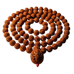 Rudraksha beads mala isolated on transparent background
