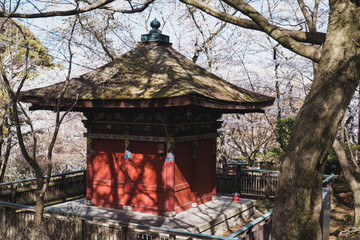 三井寺、日本の歴史的なお寺に咲く桜、滋賀、日本