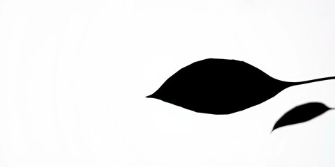 Dark silhouette of a single leaf, isolated on white background,  abstract,  bright