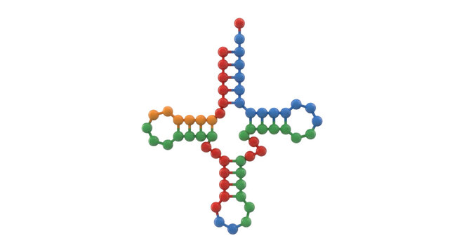 colorful molecular TRNA structure diagram on transparent background