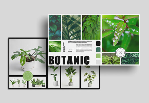 Modern Mood Board Presentation Template
