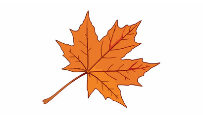 Fototapeta premium Detailed isolated autumn maple leaf vector illustration