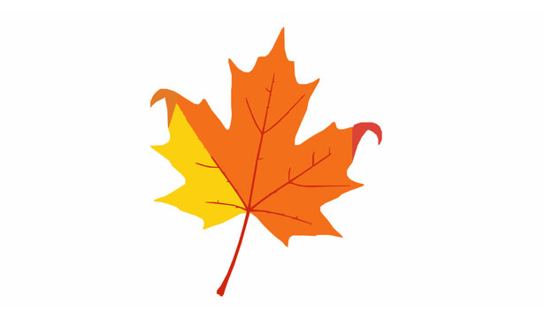 Autumn maple leaf vector isolated with full depth of field