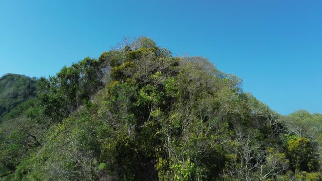 Aerial shot tilting down across hill densely covered with trees, Banda Sea, Maluku, Indonesia.