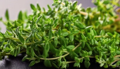 Fresh Thyme Herb Close-Up - Aromatic Culinary Ingredient for Flavorful Dishes.