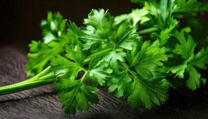 Fresh Parsley Sprigs on Dark Wood Surface Close-Up.