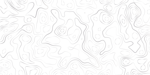 Luxury geometric topography line map.