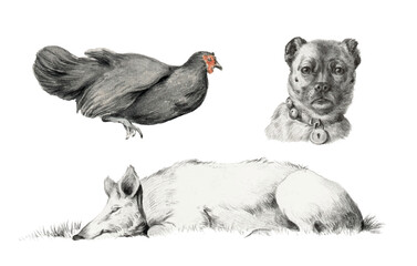 Vintage-style vector illustration of a dog, a sleeping pig, a hen. Painting, pencil sketch.