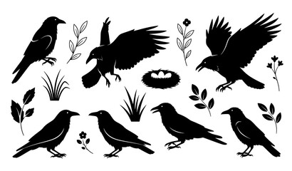 Obraz premium Minimal Raven and Crow Silhouette Vector Set with Nests Eggs Grass Leaves and Flowers