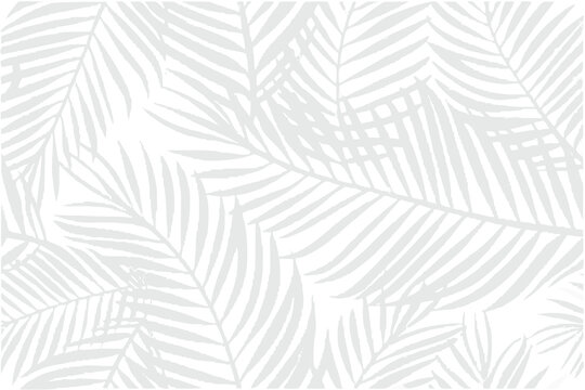 A delicate and repeating pattern of gray tropical palm leaves design