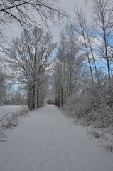 Winterlandschaft verschneit im Biosph&auml;renreservat Spreewald L&uuml;bben