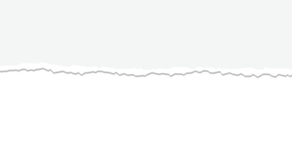 Minimal horizontal torn paper background vector with clean white paper texture and copy space