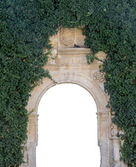 Isolated image of stone archway covered in green ivy