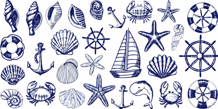 A collection of nautical illustrations featuring shells crabs anchors and ships