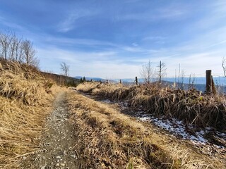 mountain road with withered grass