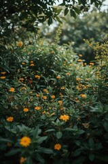 Fototapeta premium Wild yellow daisies blooming in lush green garden under tree foliage, summer nature scene with sunlight