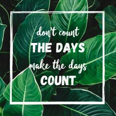 The count days motivational quote.
