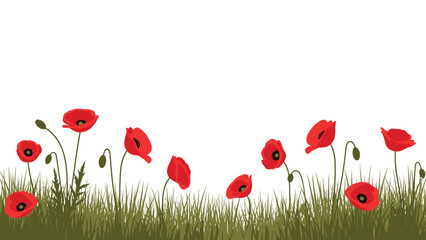 Obraz premium Elegant border or scattered arrangement of vibrant red poppy flowers with delicate green stems and leaves, perfect as a design element.