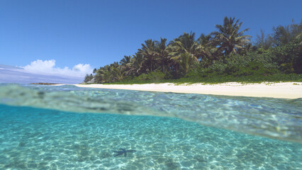 HALF UNDERWATER Lonely starfish sitting on bottom of ocean near exotic island.