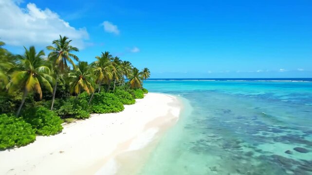 Tropical Beach in Fiji - Aerial view of a secluded white sand beach in Fiji, lined with lush green palm trees. The turquoise water is crystal clear, creating a perfect tropical paradise.