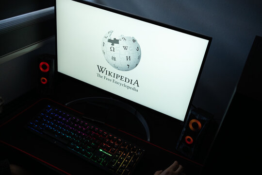 Punta Arenas, Chile &ndash; January 20, 2026: Iconic Wikipedia puzzle globe logo and serif wordmark displayed on a professional computer monitor