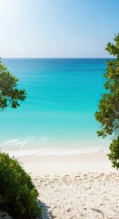 Stunning tropical coastal landscape featuring turquoise ocean water, pristine white sandy beach, and lush green vegetation under bright sunshine, growth, blue, reef
