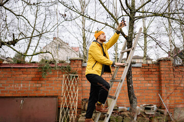 Man trims tree branches using ladder in backyard during winter afternoon in residential area with houses in background
