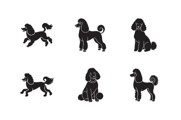 Poodle Groomed Energetic Pet Silhouette